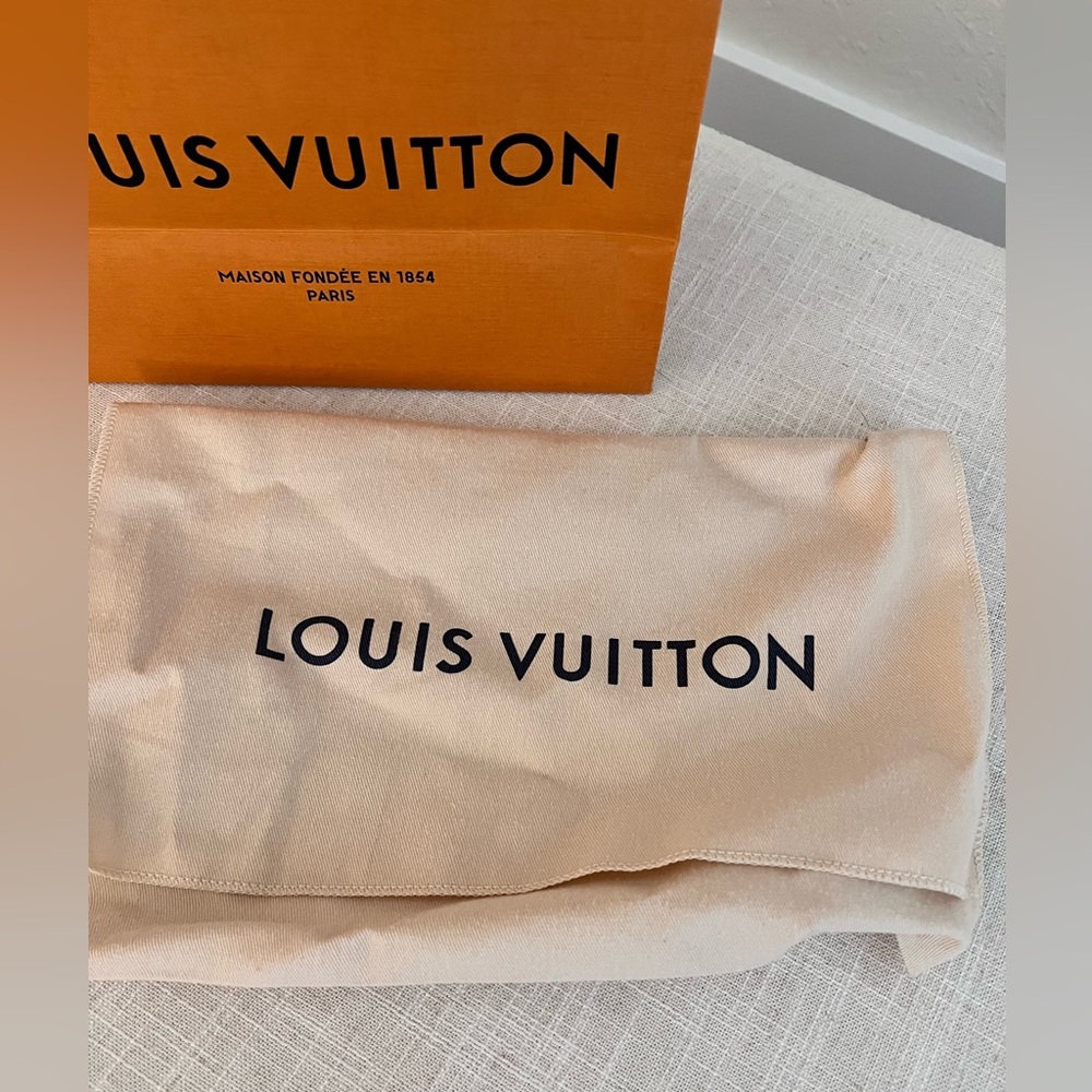Authentic medium size Louis Vuitton gift bag and purse cloth
